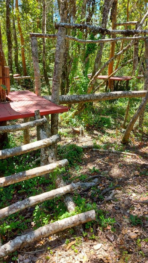 Hotel Lodge Las Cascadas Puerto Clocker Esterno foto